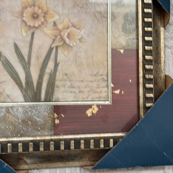 Daffodils wall art in glass frame, New in original packaging - Picture 11 of 16